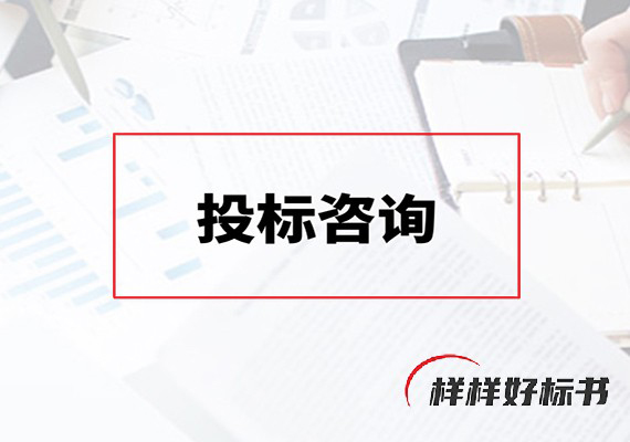 投标咨询